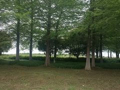 -苏州东太湖生态园