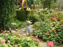 景点-观光南瓜园