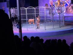 -福州罗源湾海洋世界旅游区