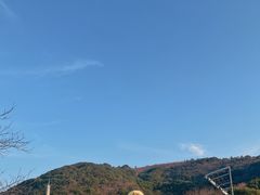 -无锡动物园·太湖欢乐园