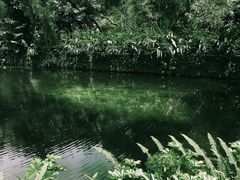 -广州兰圃