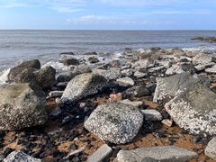 -白沙门生态公园