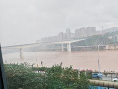 -李子坝梁山鸡(李子坝大鸡哥店)