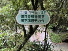 -青城山