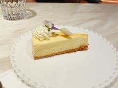 -伊斯坦布尔土耳其清真咖啡餐厅