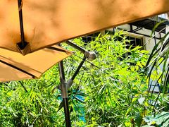 -时光花园(白鹭洲店)