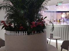 -LANN I 蘭 SPA(陆家嘴中心店)