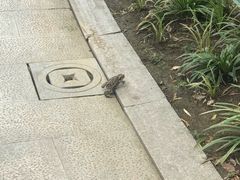 -荆川公园