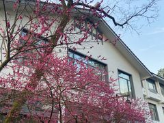 -杭州花家山庄