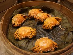 -凯菲厅海鲜姿造·海鲜自助·帝王蟹·龙虾(成都群光君悦酒店)