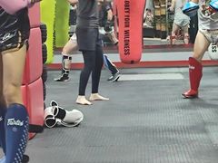 -TFC 纯泰拳馆MuayThai