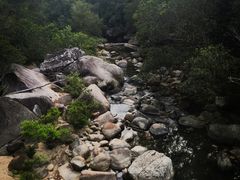 -海南热带雨林国家公园吊罗山景区