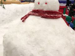 -绍兴启迪乔波冰雪世界