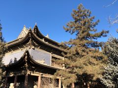 -张掖大佛寺景区