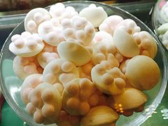 -猫咪博物馆(顶澳仔猫街店)