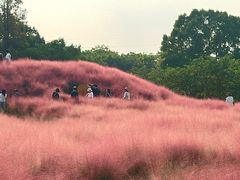 -嘉北郊野公园