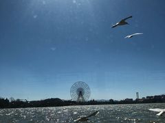 -呈贡滇池生态湿地公园