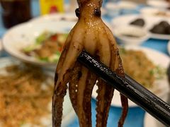 -御唐府海珊瑚主题餐厅