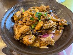 -自游人·美食一楼·地道徽菜(三十年名店)