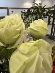 -战痘宣颜科学皮肤管理祛痘中心