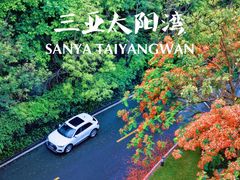 -三亚太阳湾柏悦酒店