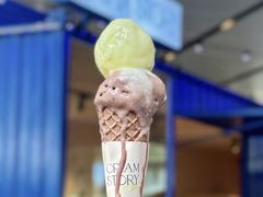 -CREAM STORY意大利手工冰淇淋&甜品(万象前海店)
