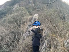 -午潮山国家森林公园