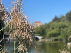 -三忘湖 SWANSEEN(柳荫公园店)