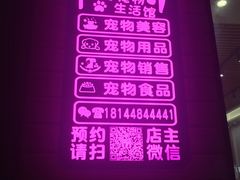 -集宠猫柠宠物生活馆