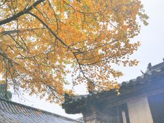 -金堂县云顶石城风景区