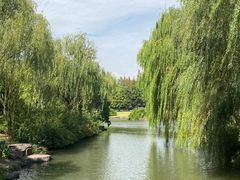 -上海滨江森林公园