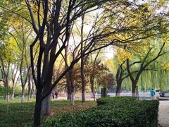 -玲珑塔公园