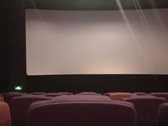 -金棕榈新百世纪影城
