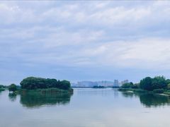 -长广溪湿地公园