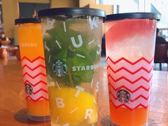 醋意桃桃-星巴克(北京望京店)