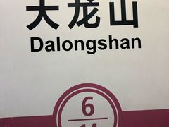 -大龙山(地铁站)