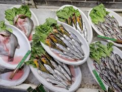 -桃源人家(环城南路店)