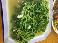 -菜当家