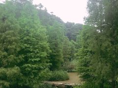 -云溪植物园
