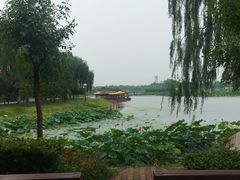 -白洋淀景区