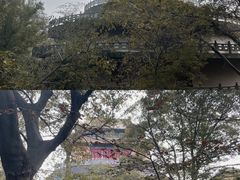 -南京市无想山景区