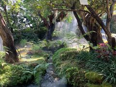 -Fern Forest Cafe