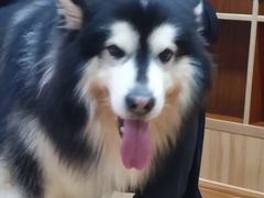 -白兔子密室(长寿路店)