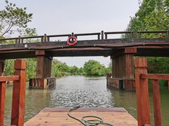 -溱湖国家湿地公园