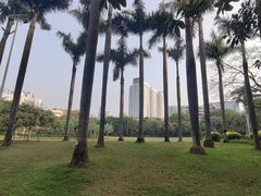 -东风公园