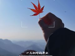 -广州市石门国家森林公园