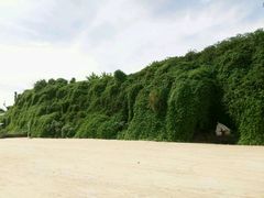 -滴水丹屏