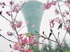 -狐尾山公园