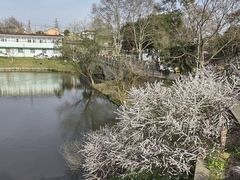 -太子山公园(园东路)