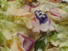 -双合园·海鲜水饺青岛菜(九水东路店)